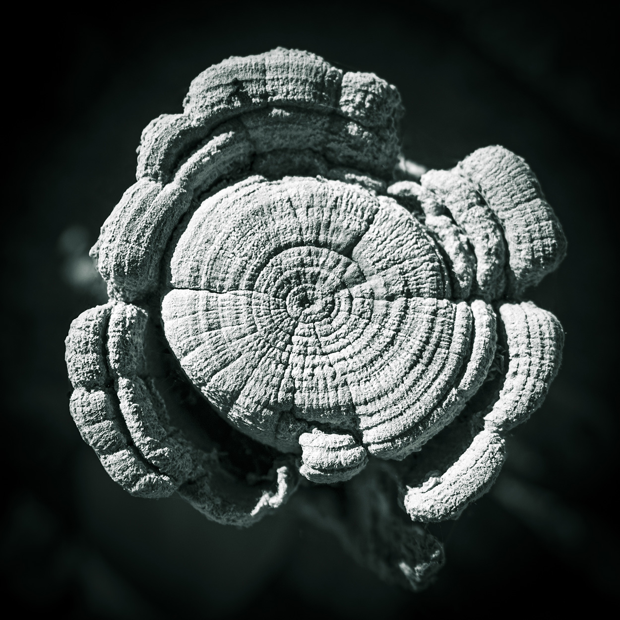 Fotografie Esslingen